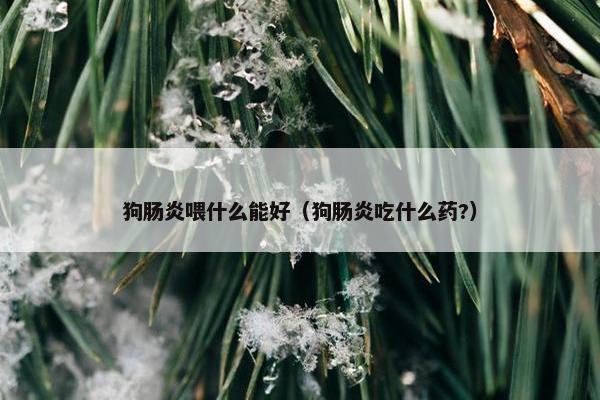 狗肠炎喂什么能好（狗肠炎吃什么药?）