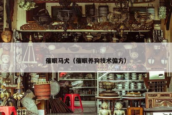 催眠马犬（催眠养狗技术偏方）