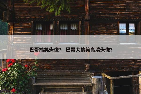 巴哥搞笑头像？ 巴哥犬搞笑高清头像？