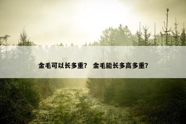金毛可以长多重？ 金毛能长多高多重？