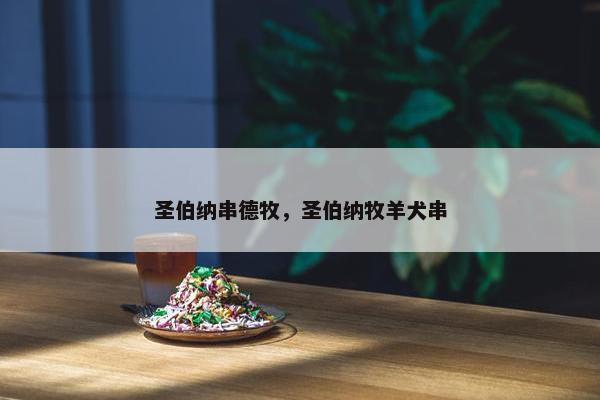 圣伯纳串德牧，圣伯纳牧羊犬串