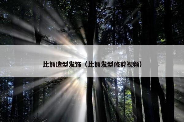 比熊造型发饰（比熊发型修剪视频）