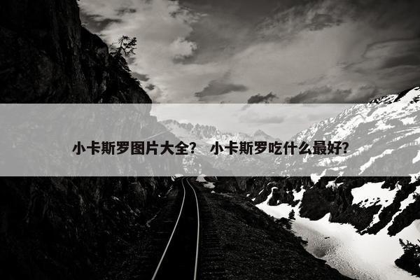 小卡斯罗图片大全？ 小卡斯罗吃什么最好？