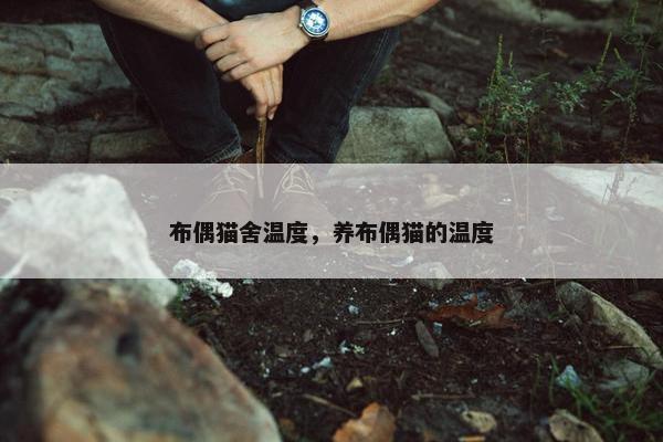 布偶猫舍温度，养布偶猫的温度