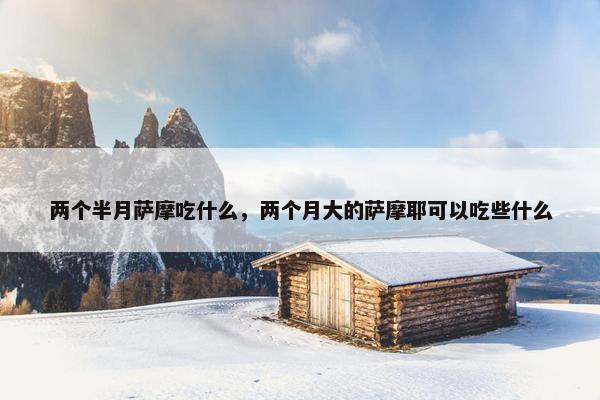 两个半月萨摩吃什么，两个月大的萨摩耶可以吃些什么