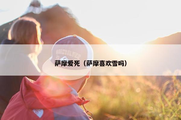 萨摩爱死（萨摩喜欢雪吗）