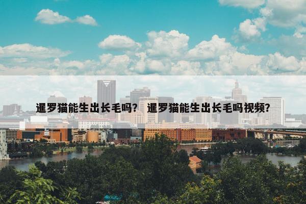暹罗猫能生出长毛吗？ 暹罗猫能生出长毛吗视频？