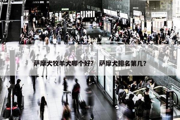 萨摩犬牧羊犬哪个好？ 萨摩犬排名第几？