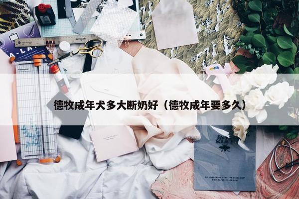 德牧成年犬多大断奶好（德牧成年要多久）