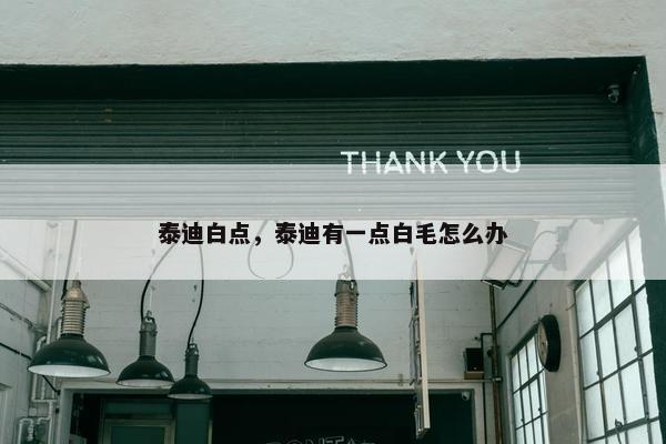 泰迪白点，泰迪有一点白毛怎么办
