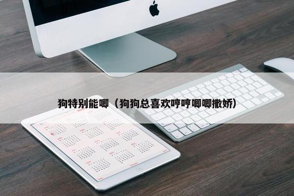 狗特别能唧（狗狗总喜欢哼哼唧唧撒娇）