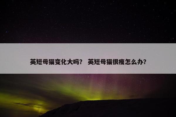 英短母猫变化大吗？ 英短母猫很瘦怎么办？