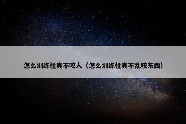 怎么训练杜宾不咬人（怎么训练杜宾不乱咬东西）