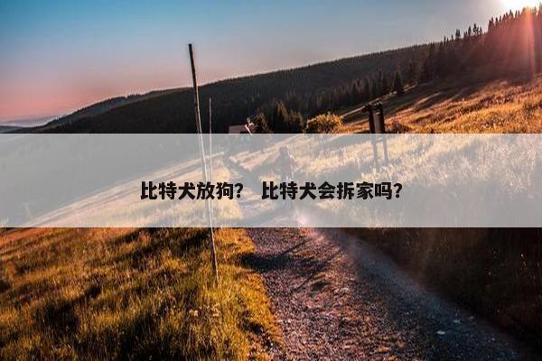 比特犬放狗？ 比特犬会拆家吗？