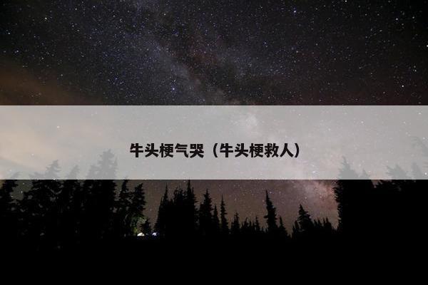牛头梗气哭（牛头梗救人）