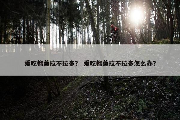 爱吃榴莲拉不拉多？ 爱吃榴莲拉不拉多怎么办？