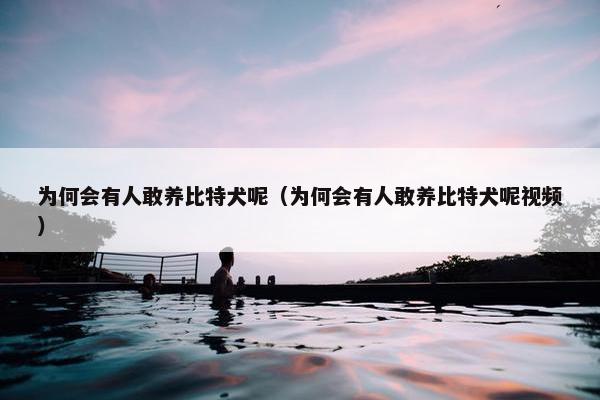 为何会有人敢养比特犬呢（为何会有人敢养比特犬呢视频）