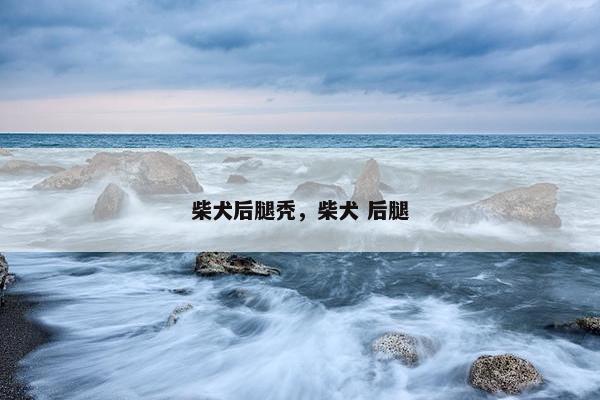 柴犬后腿秃，柴犬 后腿