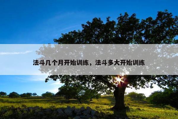 法斗几个月开始训练，法斗多大开始训练