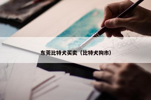 东莞比特犬买卖（比特犬狗市）