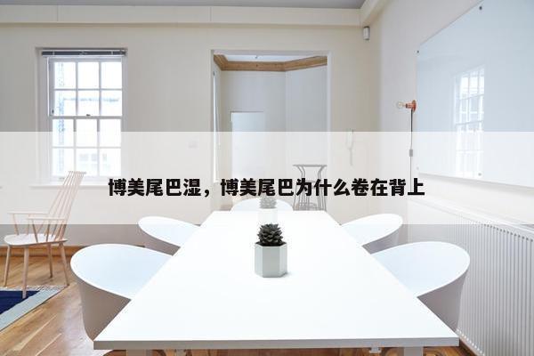 博美尾巴湿，博美尾巴为什么卷在背上