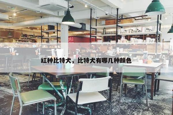 红种比特犬，比特犬有哪几种颜色
