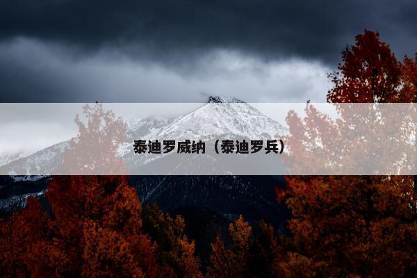 泰迪罗威纳（泰迪罗兵）