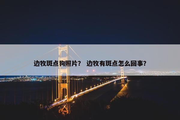 边牧斑点狗照片？ 边牧有斑点怎么回事？