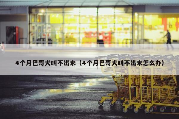 4个月巴哥犬叫不出来（4个月巴哥犬叫不出来怎么办）