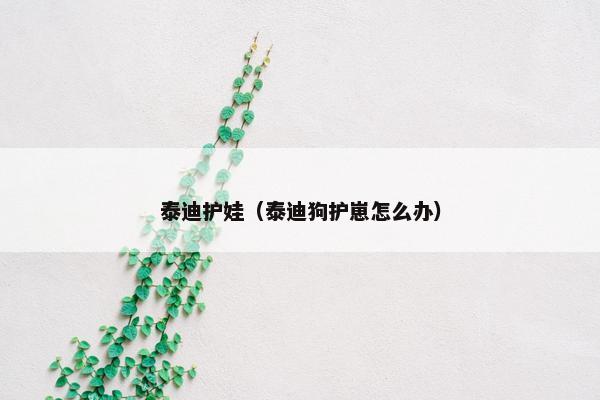 泰迪护娃（泰迪狗护崽怎么办）