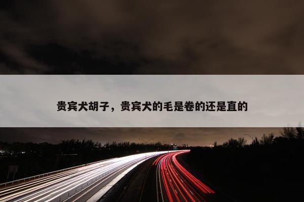 贵宾犬胡子，贵宾犬的毛是卷的还是直的