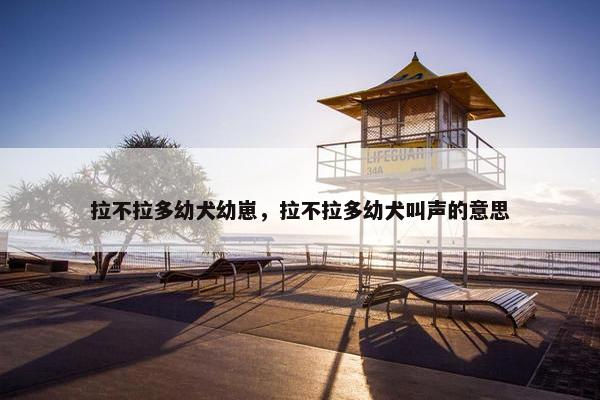 拉不拉多幼犬幼崽，拉不拉多幼犬叫声的意思
