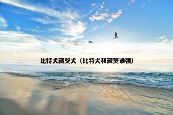 比特犬藏獒犬（比特犬和藏獒谁强）