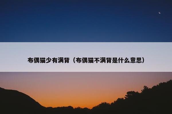 布偶猫少有满背（布偶猫不满背是什么意思）