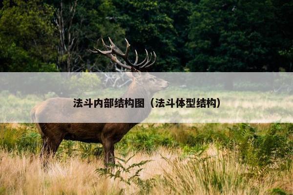 法斗内部结构图（法斗体型结构）