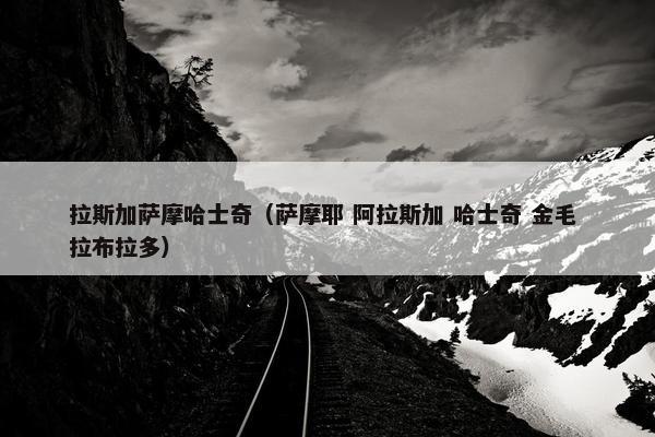 拉斯加萨摩哈士奇（萨摩耶 阿拉斯加 哈士奇 金毛 拉布拉多）