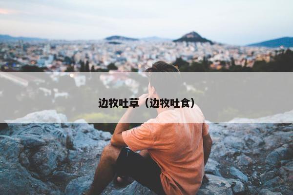 边牧吐草（边牧吐食）