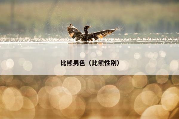比熊男色（比熊性别）