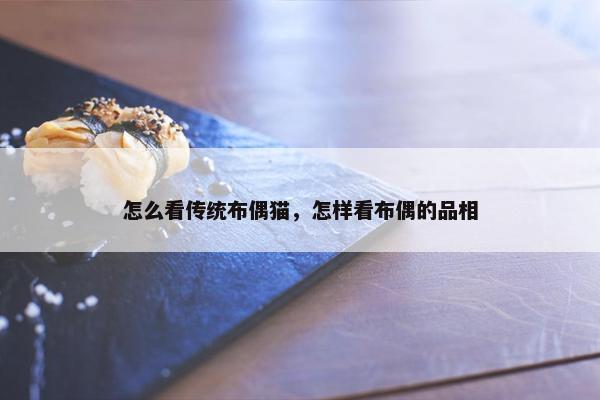 怎么看传统布偶猫，怎样看布偶的品相