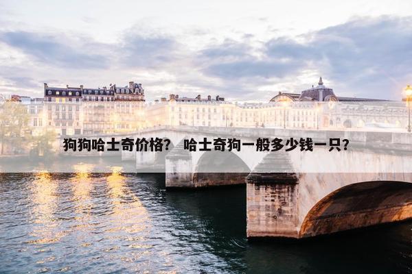 狗狗哈士奇价格？ 哈士奇狗一般多少钱一只？