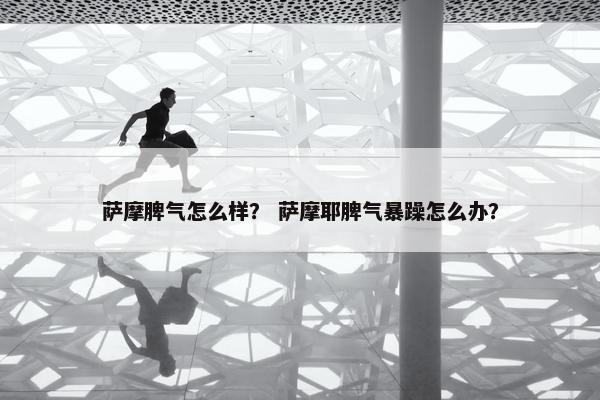 萨摩脾气怎么样？ 萨摩耶脾气暴躁怎么办？