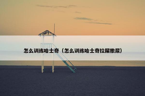 怎么训练哈士奇（怎么训练哈士奇拉屎撒尿）