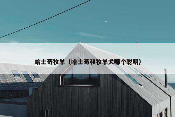 哈士奇牧羊（哈士奇和牧羊犬哪个聪明）