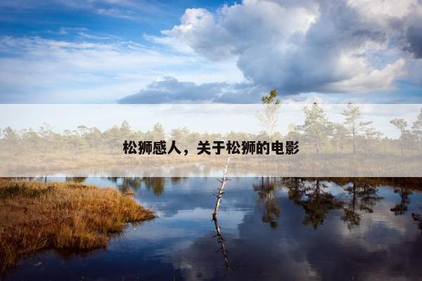松狮感人，关于松狮的电影