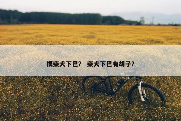摸柴犬下巴？ 柴犬下巴有胡子？