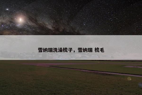 雪纳瑞洗澡梳子，雪纳瑞 梳毛