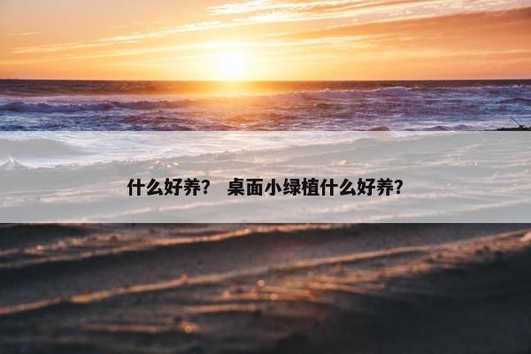 什么好养？ 桌面小绿植什么好养？