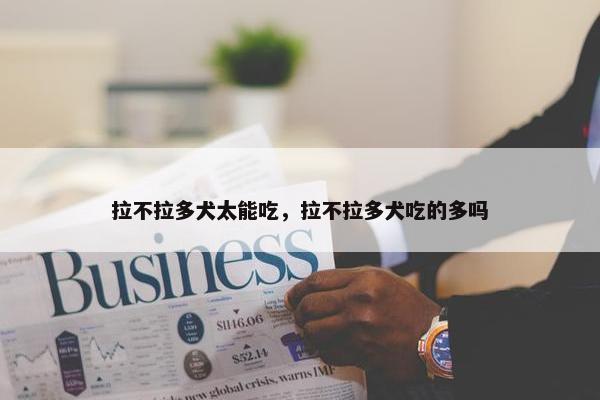 拉不拉多犬太能吃，拉不拉多犬吃的多吗