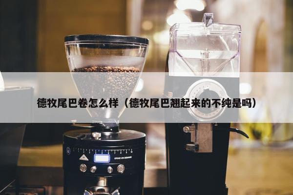 德牧尾巴卷怎么样（德牧尾巴翘起来的不纯是吗）