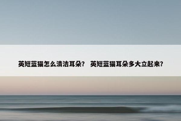 英短蓝猫怎么清洁耳朵？ 英短蓝猫耳朵多大立起来？